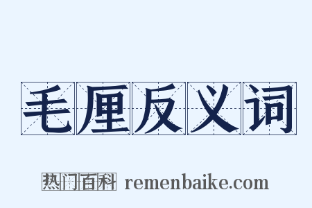 毛厘反义词是什么意思的图片